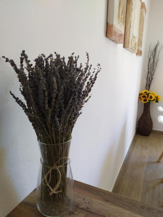 Apartamentos Xert Escapadas En Castellon Cerca De Morella Y Peniscola Chert Sant Mateu Ngoại thất bức ảnh